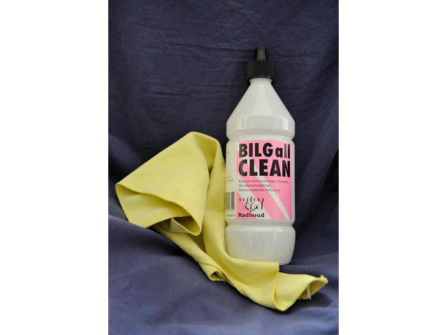 Radboud Bilg All Clean