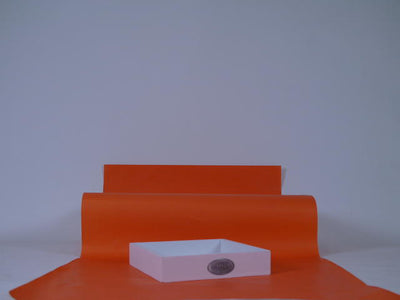 Riverdale White 7715 S