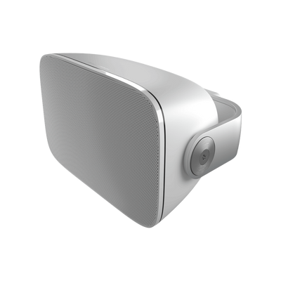 Bowers & Wilkins AM-1 all weather wit