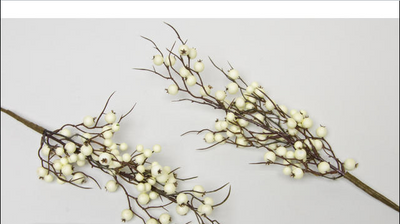 Van Manen Cranberry pick