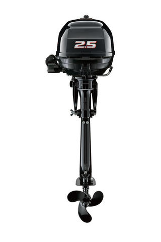 Suzuki DF2.5L