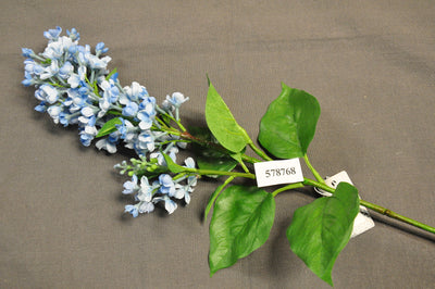 Van Manen Lilac Spray Cannes