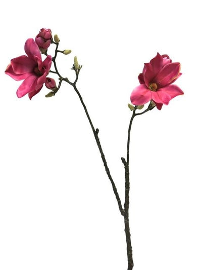 Van Manen Magnolia Devin spray