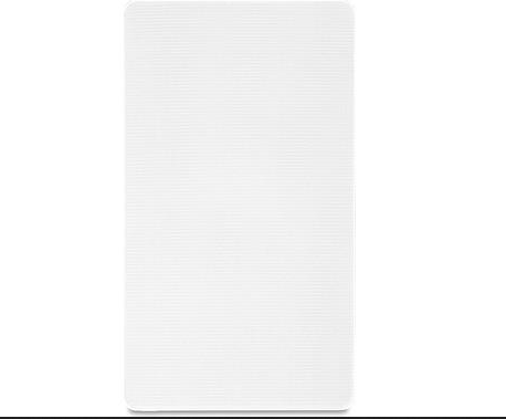 Definitive Technology DI 5.5BPS