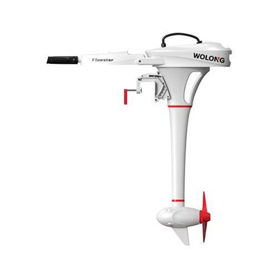 Wolong Flowstar 1.0S