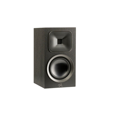Martin Logan Motion Foundation B1 zwa