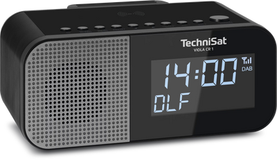 TechniSat Viola CR1