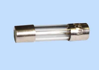 ASA Glaszekering 5x20mm 10A