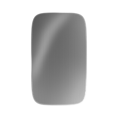 Bowers & Wilkins AM-1 all weather wit