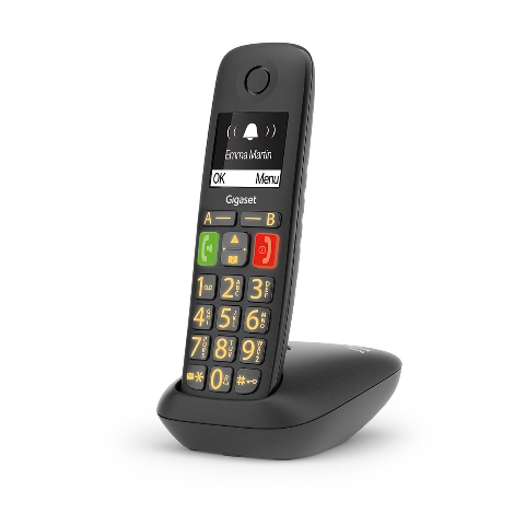 Gigaset E290R DUO
