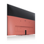 We. By Loewe SEE 50 coral red