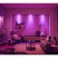 Philips Centura Hue Aluminium