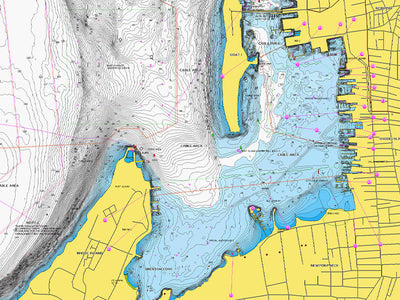 Navionics Large EU628L