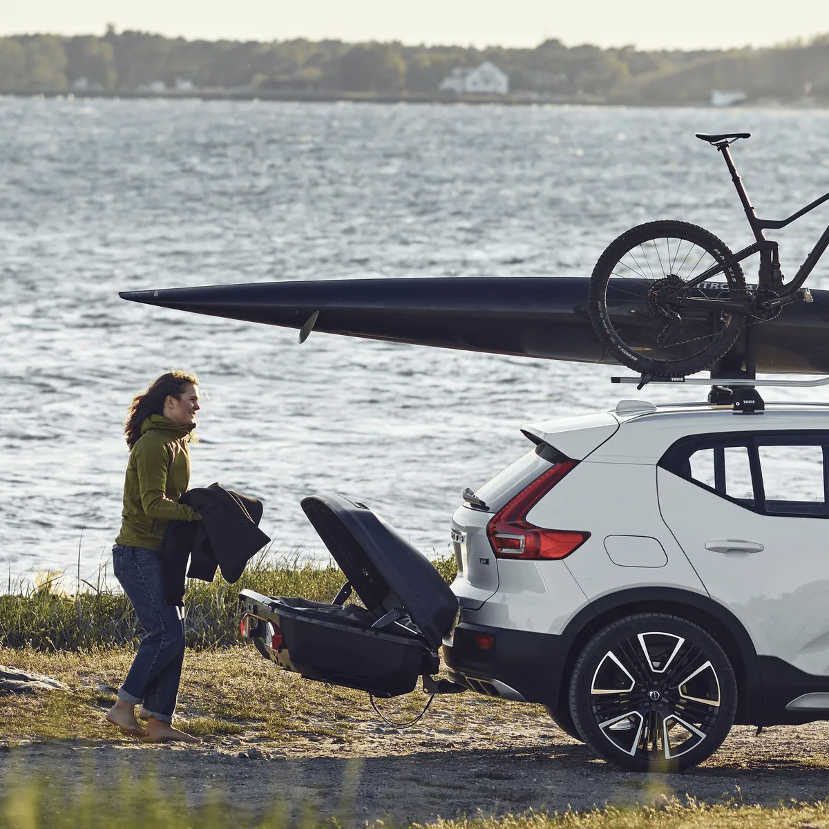 Thule Arcos Box L