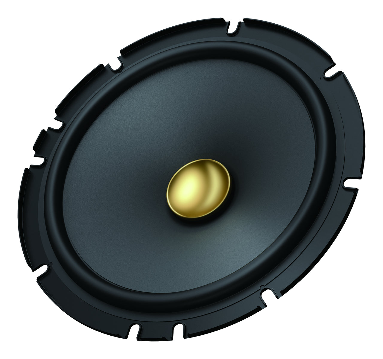 Pioneer TS-A1601C