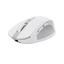 Trust OZAA Compact wit
