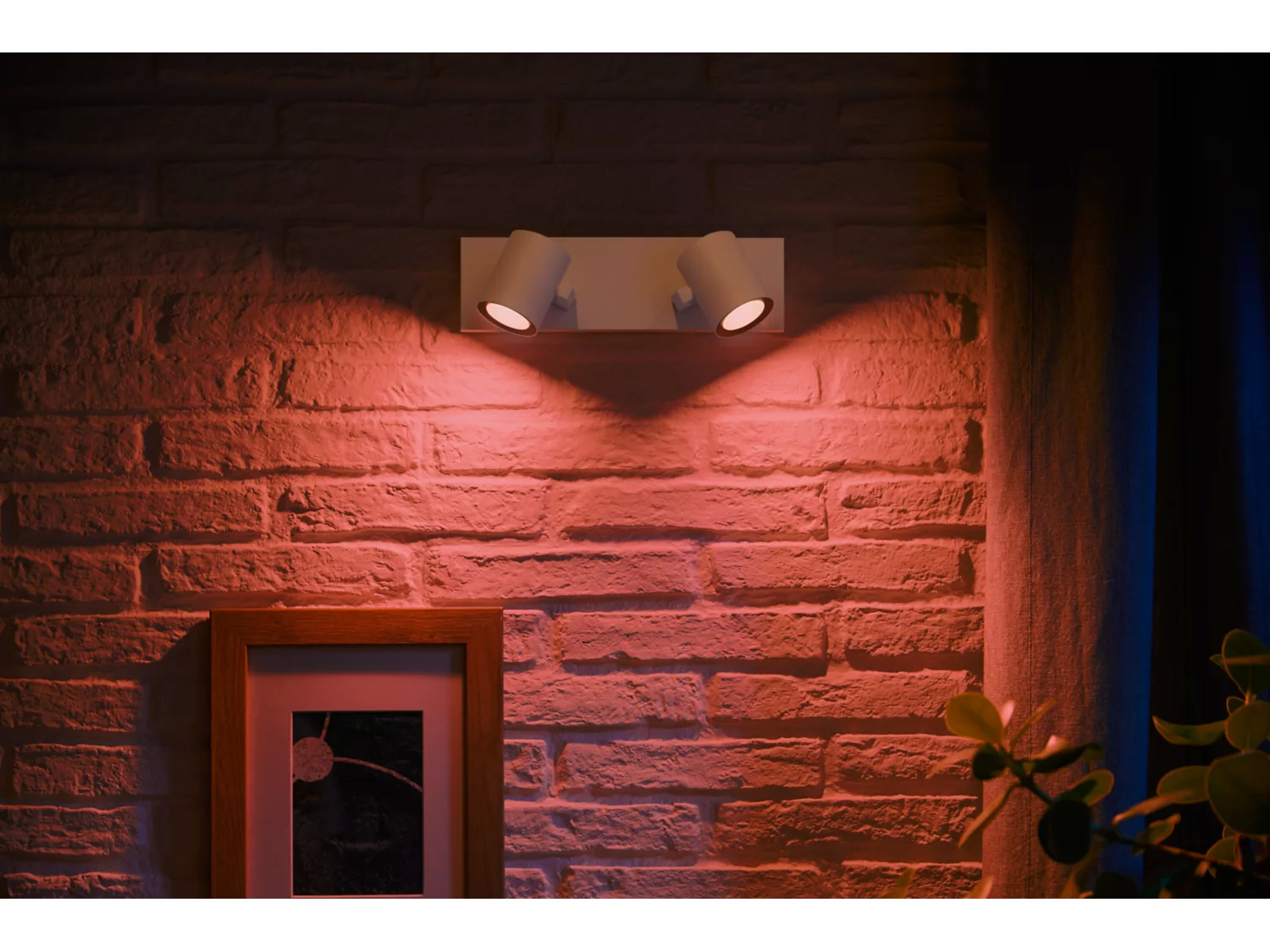 Philips Argenta plate/spiral