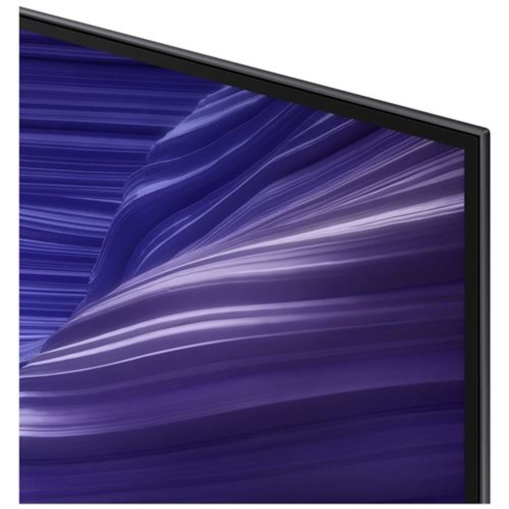 Samsung QE55S93FAEXXN