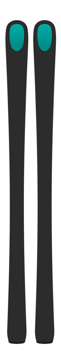 Kästle RX9 162 cm