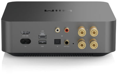 Wiim Amp Pro