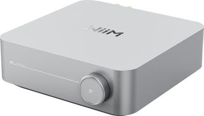 Wiim Amp zilver
