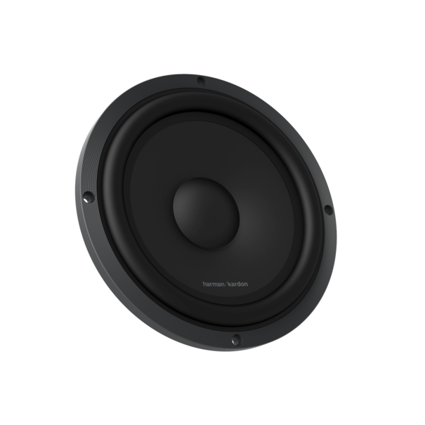 Harman Kardon Flow 601CFS