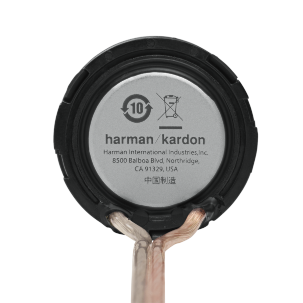 Harman Kardon FLOW 75T