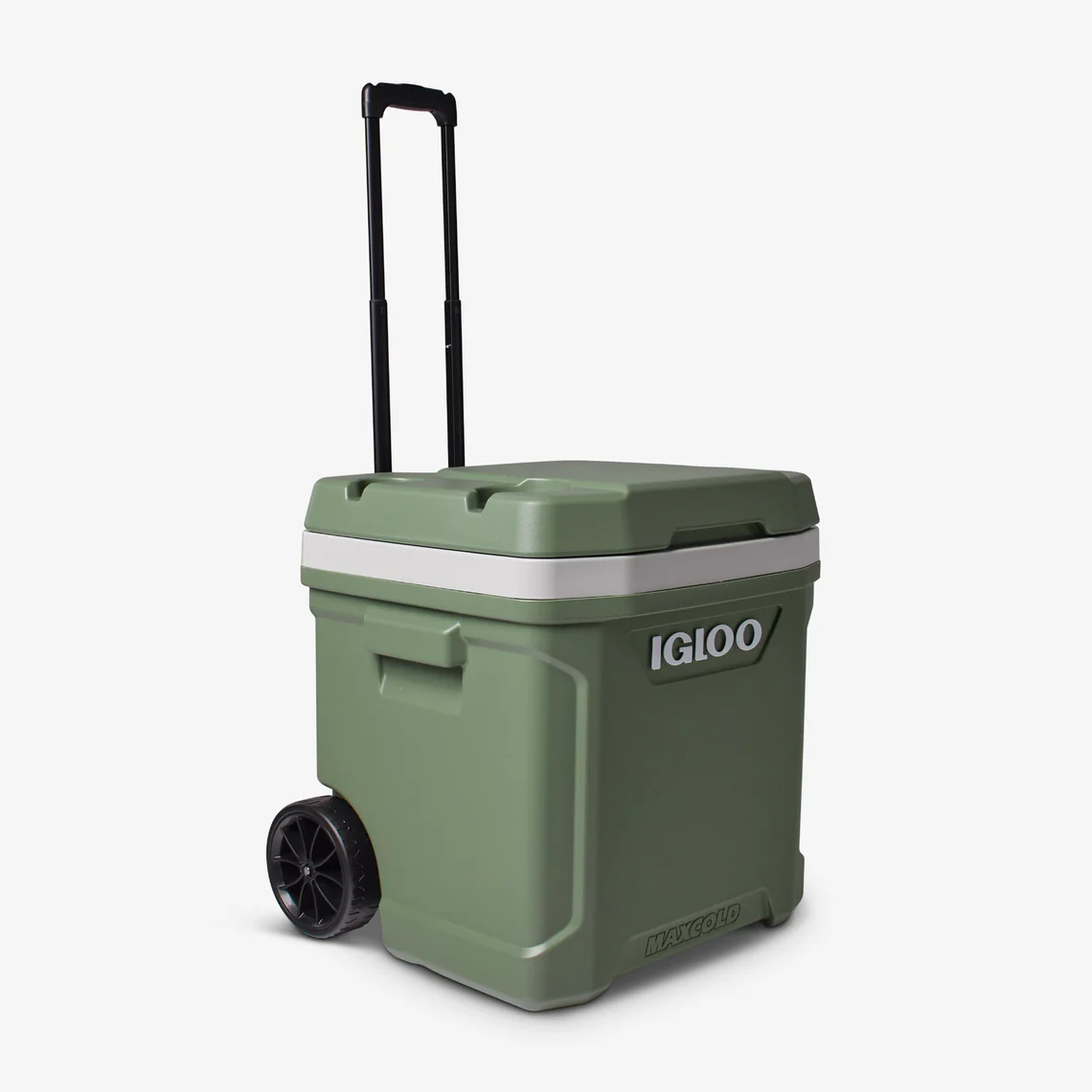 Igloo ECO60R