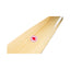 ARC Canadese Jachtriem 165 cm