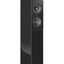 Audio Physic Classic 15 zwart