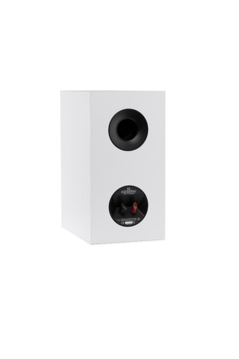 Martin Logan Motion Foundation B2 wit