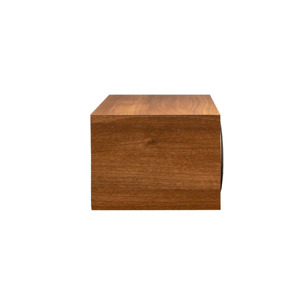 Martin Logan Motion Foundation C1 wa