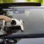 Karcher WV1 Compact Care