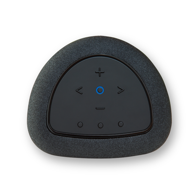 Bluesound PULSE FLEX BLACK P130