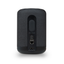Bluesound PULSE FLEX BLACK P130
