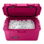 Dometic Patrol 55 Orchid roze