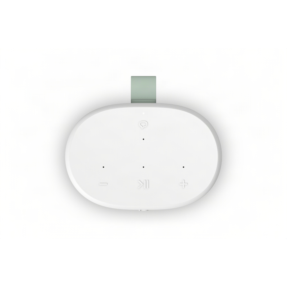 Sonos Play wit