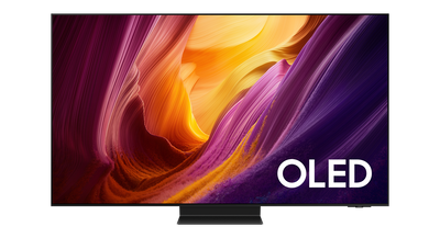 Samsung QE77S95HFTXXN