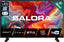 Salora TVSMART32A