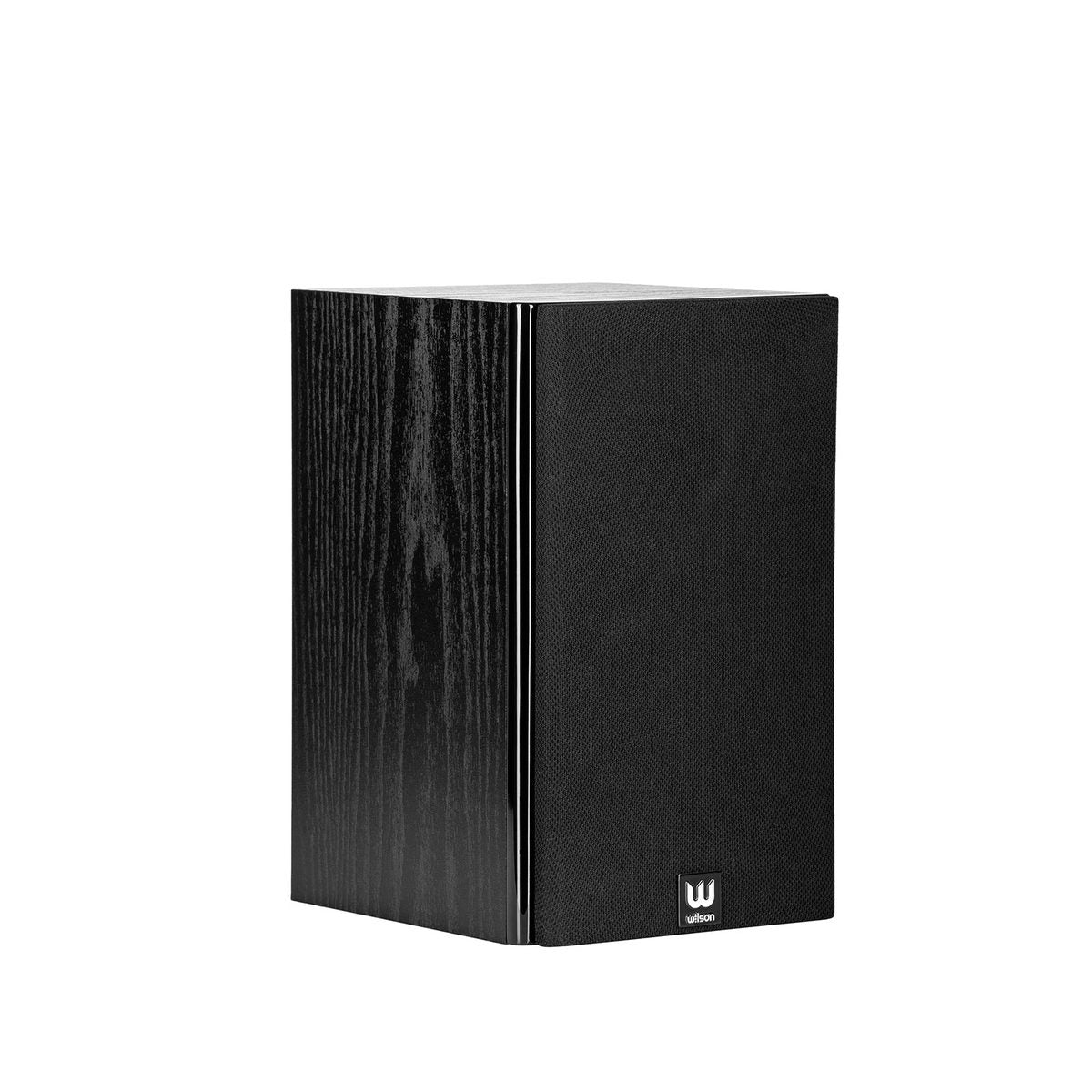 Wilson RAPTORMINIBLACK