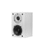 Wilson RAPTORMINIWHITE