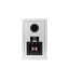 Wilson RAPTORMINIWHITE