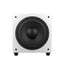Wilson RAPTORSUB10WHITE