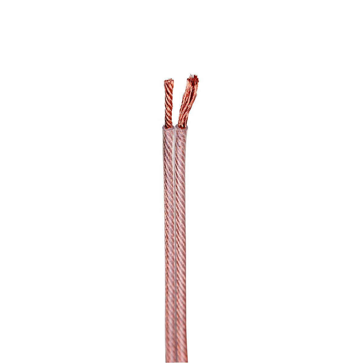 Wilson SPK CABLE 2.5MM