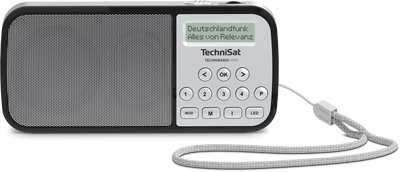 TechniSat RDR zilver