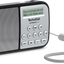 TechniSat RDR zilver