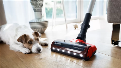 Bosch BCS711PET Unlimited 7 met Pro Animal snoerloos stofzuigen